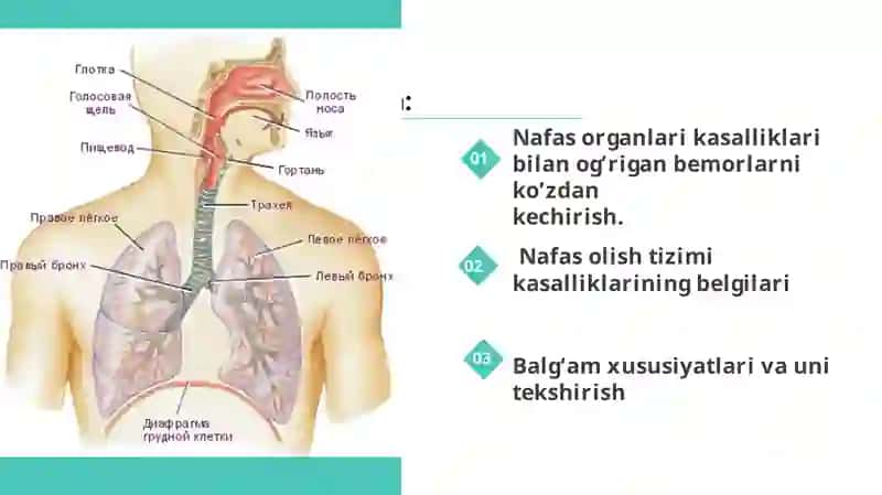 Nafas tizimi kasalliklari bilan kasallangan bemorlaruni parvarishi va ularning nazorati 2