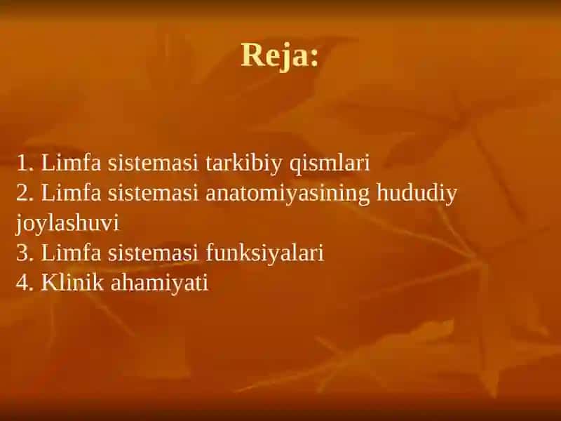 Limfa sistemasi. Slayd 2
