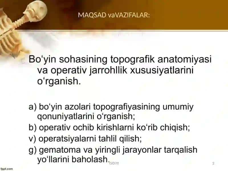 Boʻyin sohasi klinik anatomiyasi 2