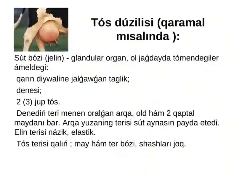 Tema. Laktatsiya bioximiyasi. Su' ttin' payda boliw processi 2