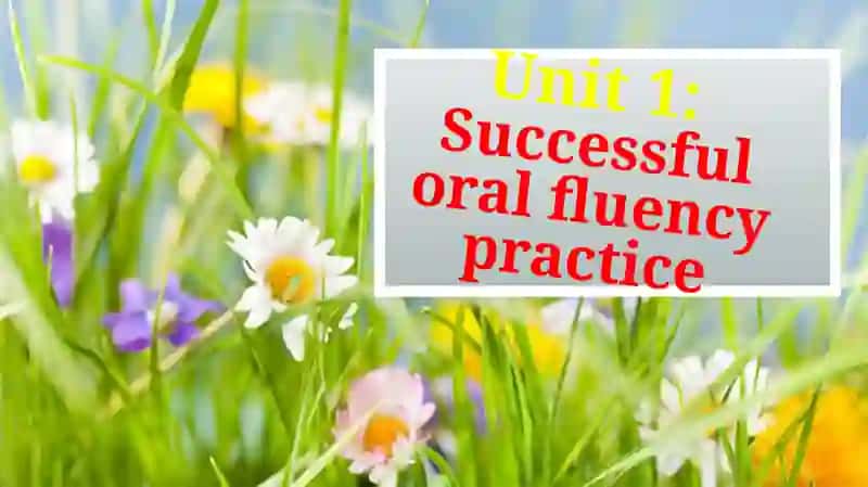 Successful oral fluency practice 2