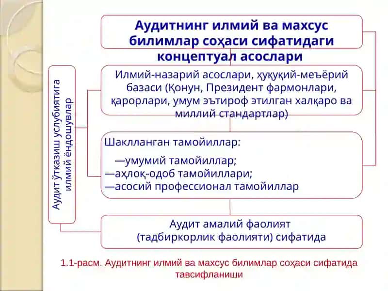 Аудитнингфан сифатидаги предмети ва методи 2