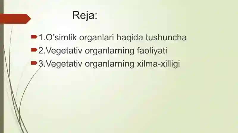 Vegetativ organlar 2