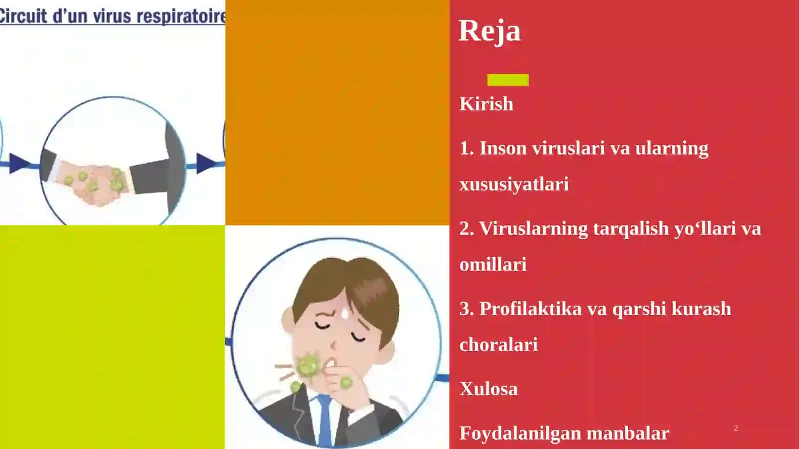Epidemiya va pandemiyaga olib kelayotgan inson viruslari, ularning tarqalishi, profil 2
