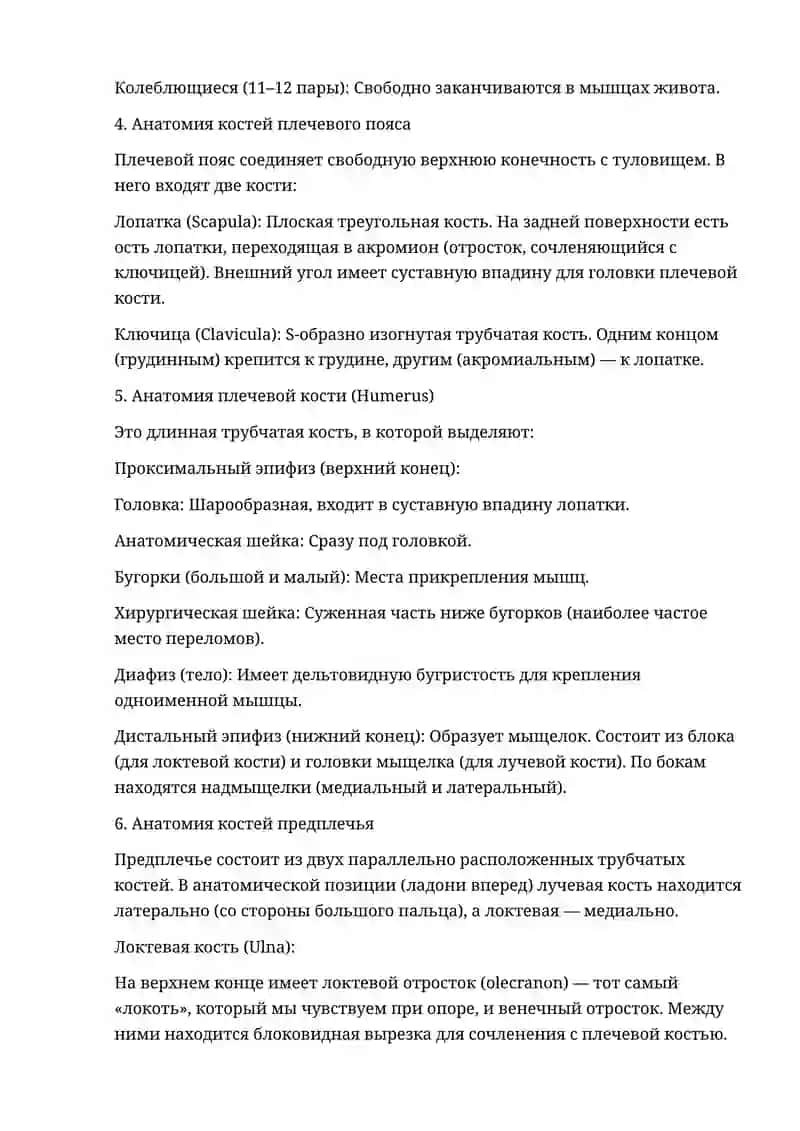 Анатомия остеология 2