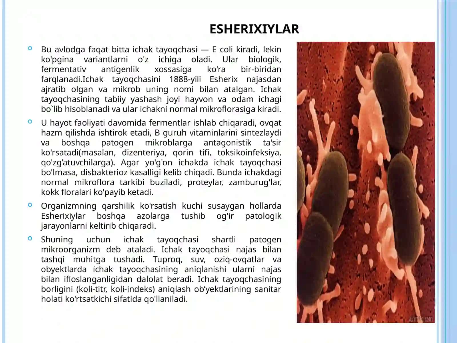 ESHERIXIYLAR 2
