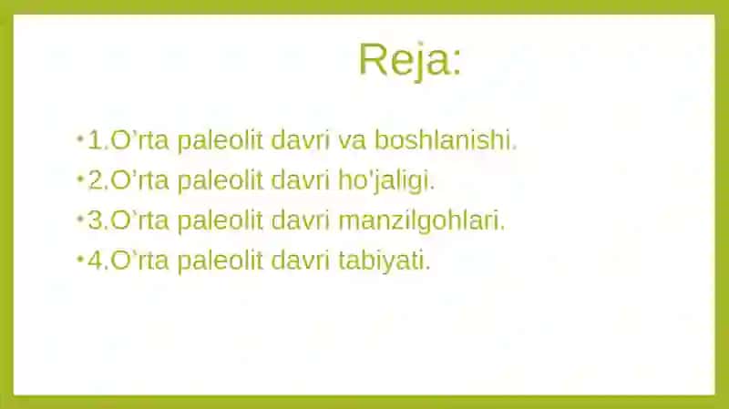O’rtapaleolit davri 2