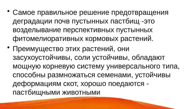 Пустынные пастбища Узбекистана 2