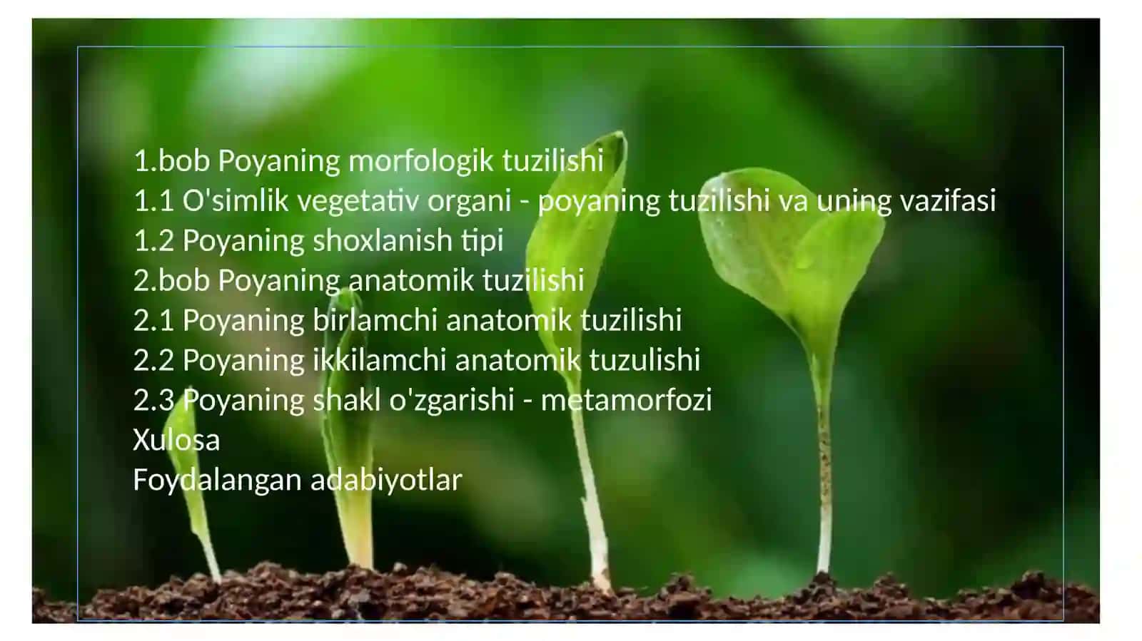 POYANING MORFOLOGIK VA ANOTOMIK TUZILISHI 2