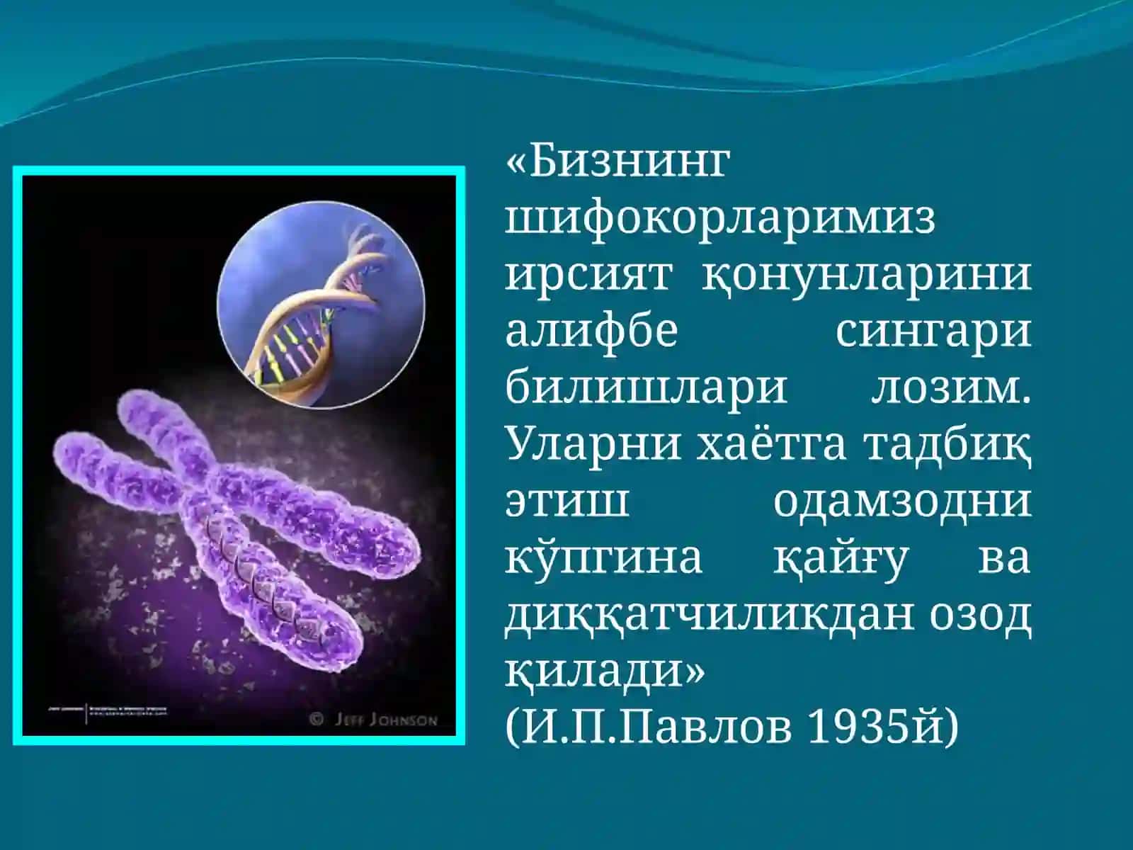 Антропогенетика ва тиббийгенетика 2