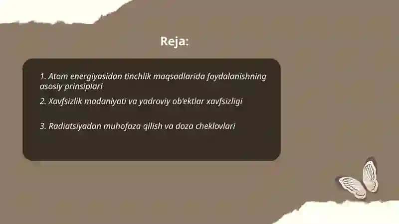 Atom energiyasidan tinchlik maqsadlarida foydalanish prinsiplari 2