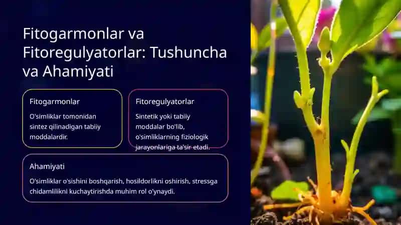 Fitogarmonlar va Fitoregulyatorlarni Olishning Biotexnologik Usullari 2
