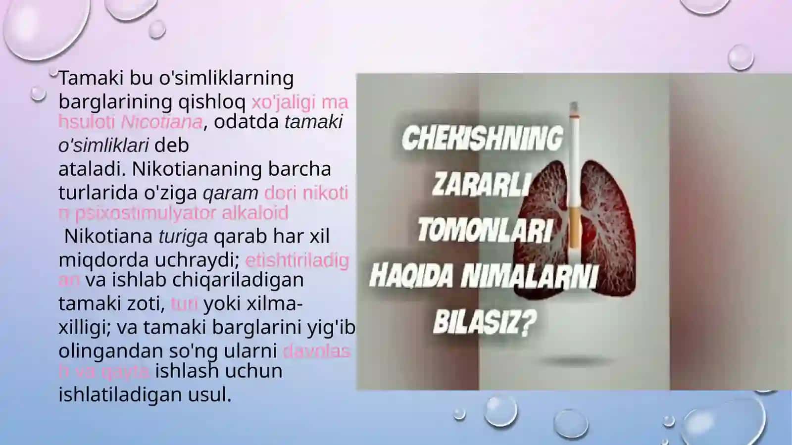 TAMAKI MAHSULOTLARINI CHEKISHNI OQIBATLARI VA ULARNI OLDINI OLISH 2