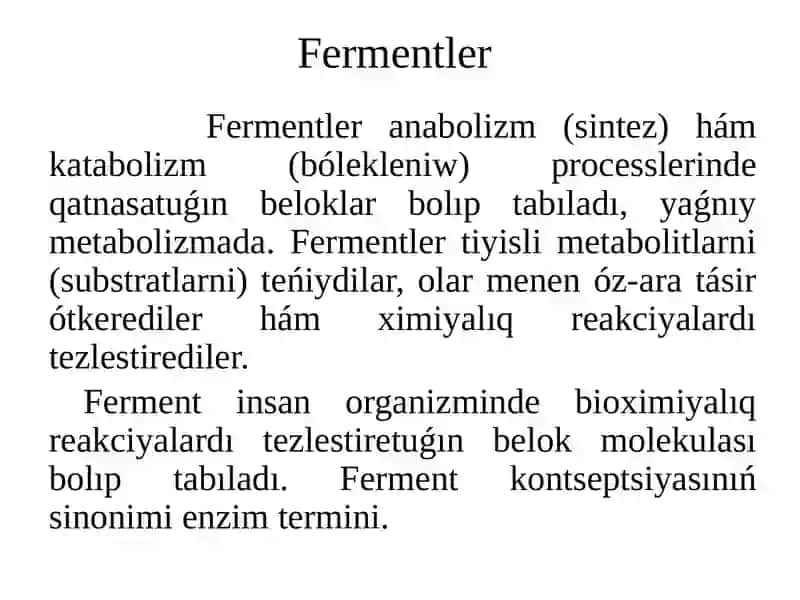 Fermentler 2