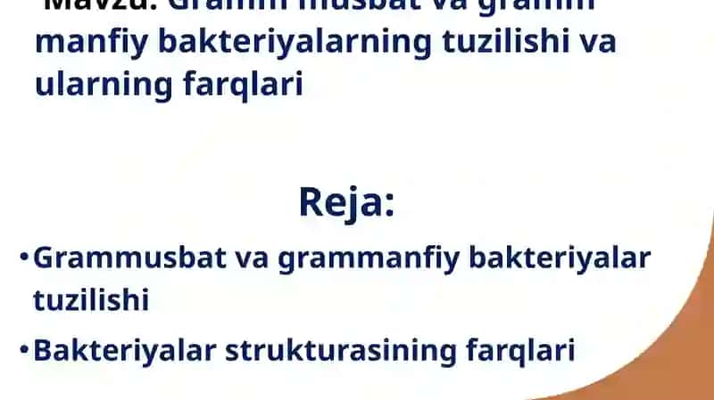 Grammusbat va grammanfiy bakteriyalar tuzilishi 2