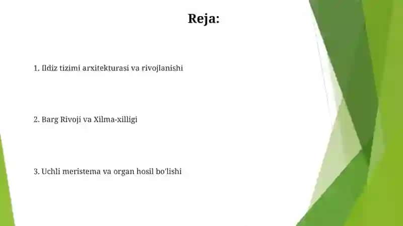 Meristemalar: O'sish Dvigatellari 2
