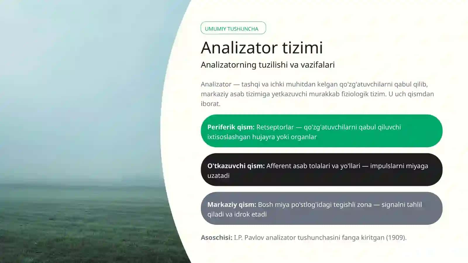 Analizatorlar Fiziologiyasi 2