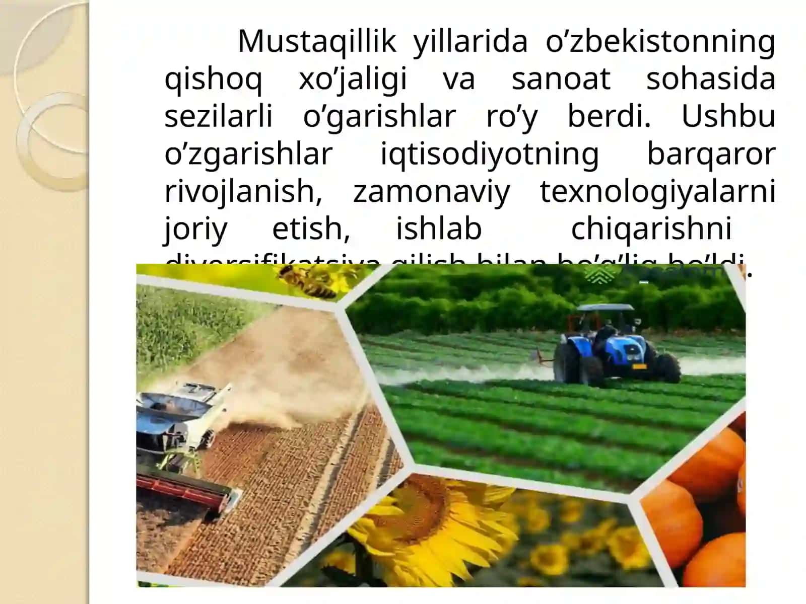 Mustaqillikyillarida qishloq xo’jaligi va sanoat sohasidagi o’zgarishlar 2