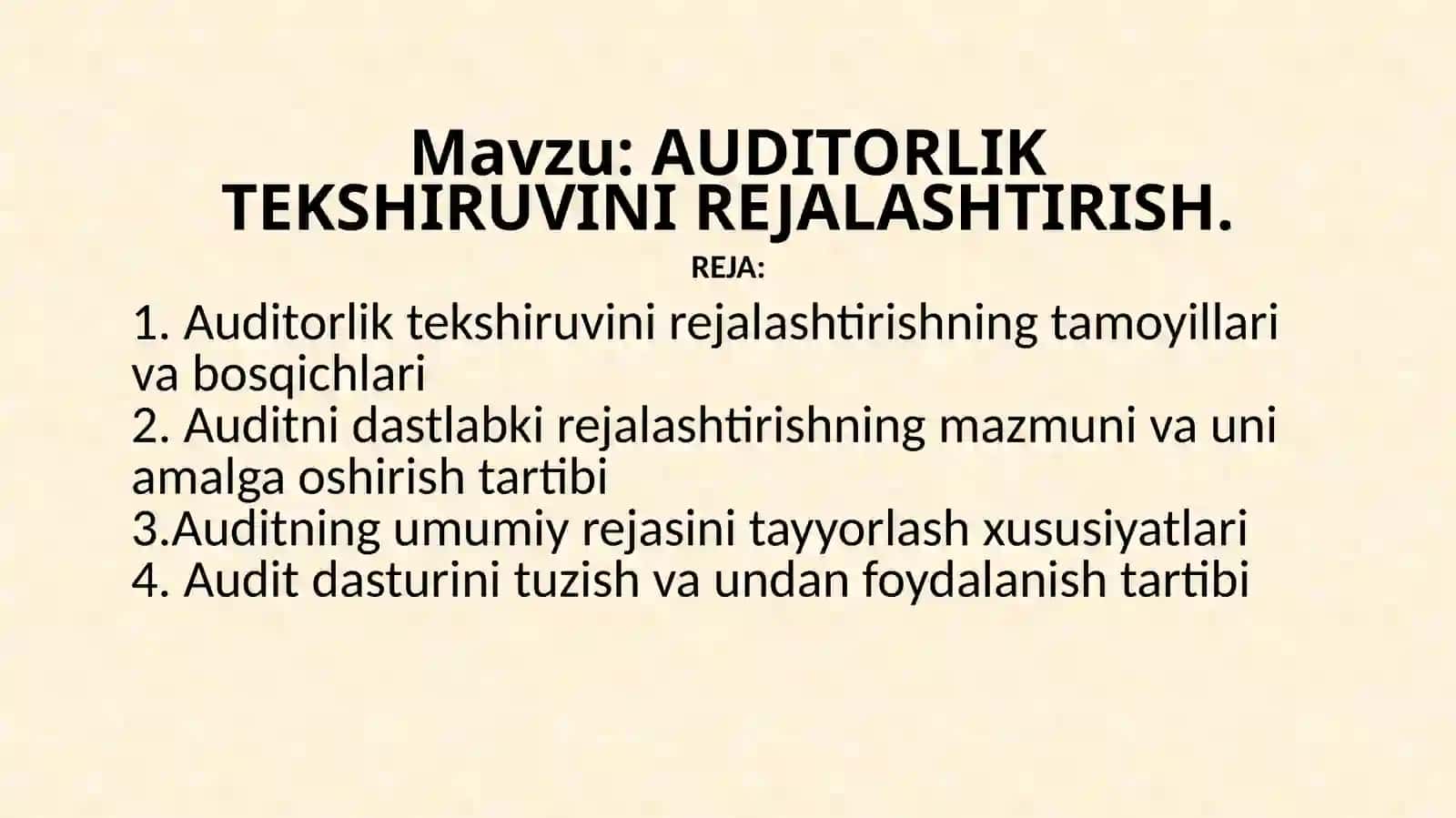 auditor 2