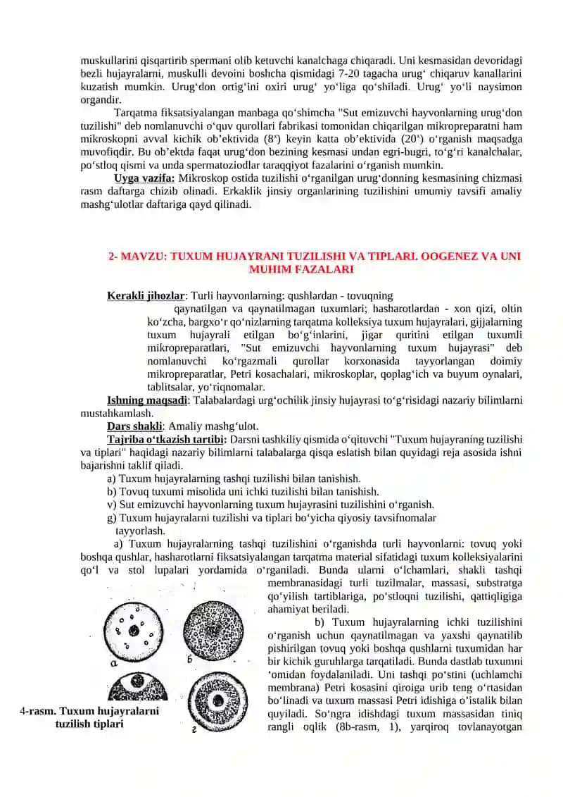 URUG’DON VA URUG’ XUJAYRALARINING TUZILISHI VA BIOLOGIC XUSUSIYATLARI 2