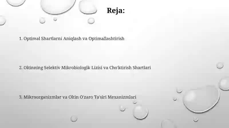 Oltinni mikrobiologik tanlab eritish va cho'ktirishning sharoitlari 2
