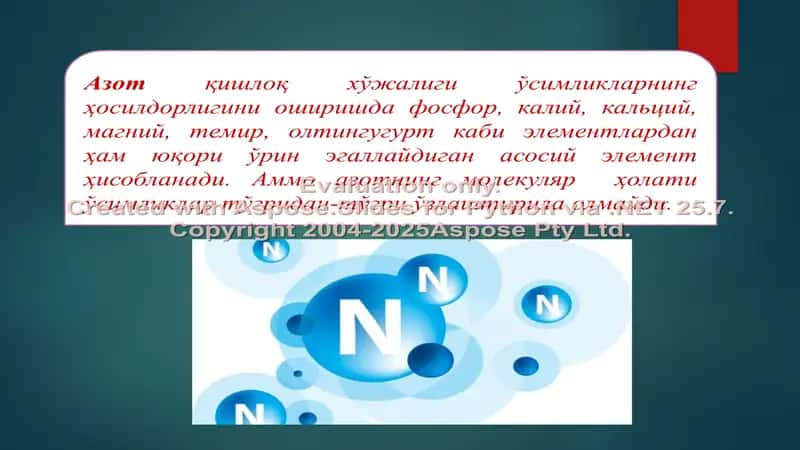 Azotni tabiatda almashinishida mikroorganizmlarning roli 2