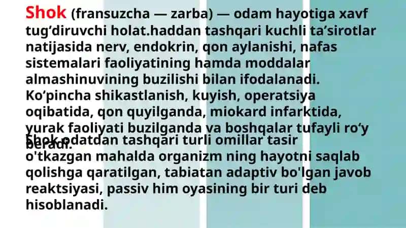 Shok 2