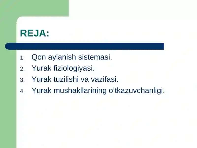 yurak gemodinamik funksiyasi 2