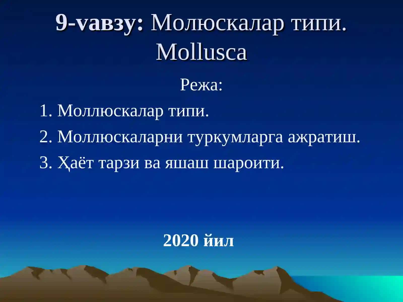 Молюскалар типи.Mollusca 2