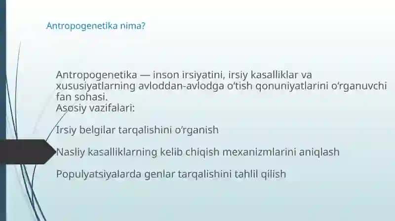 Shajara. oila daraxti 2