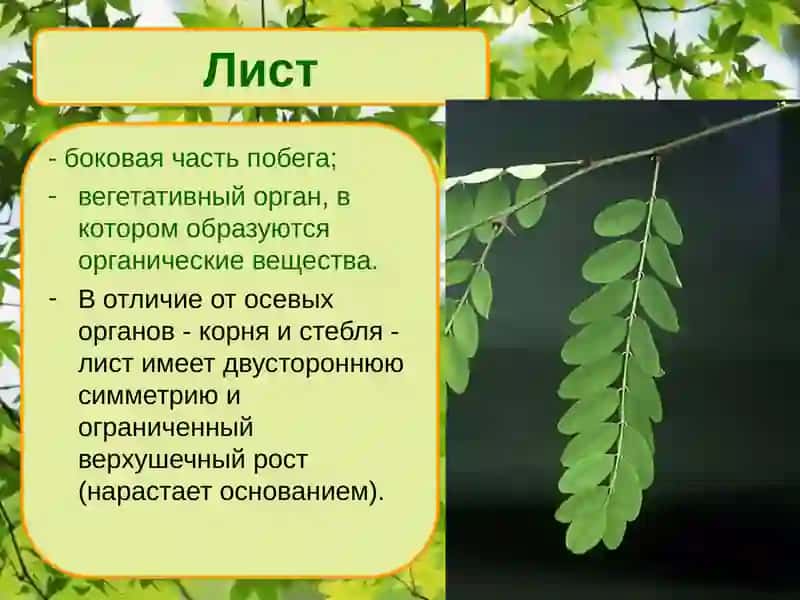 Лист 2