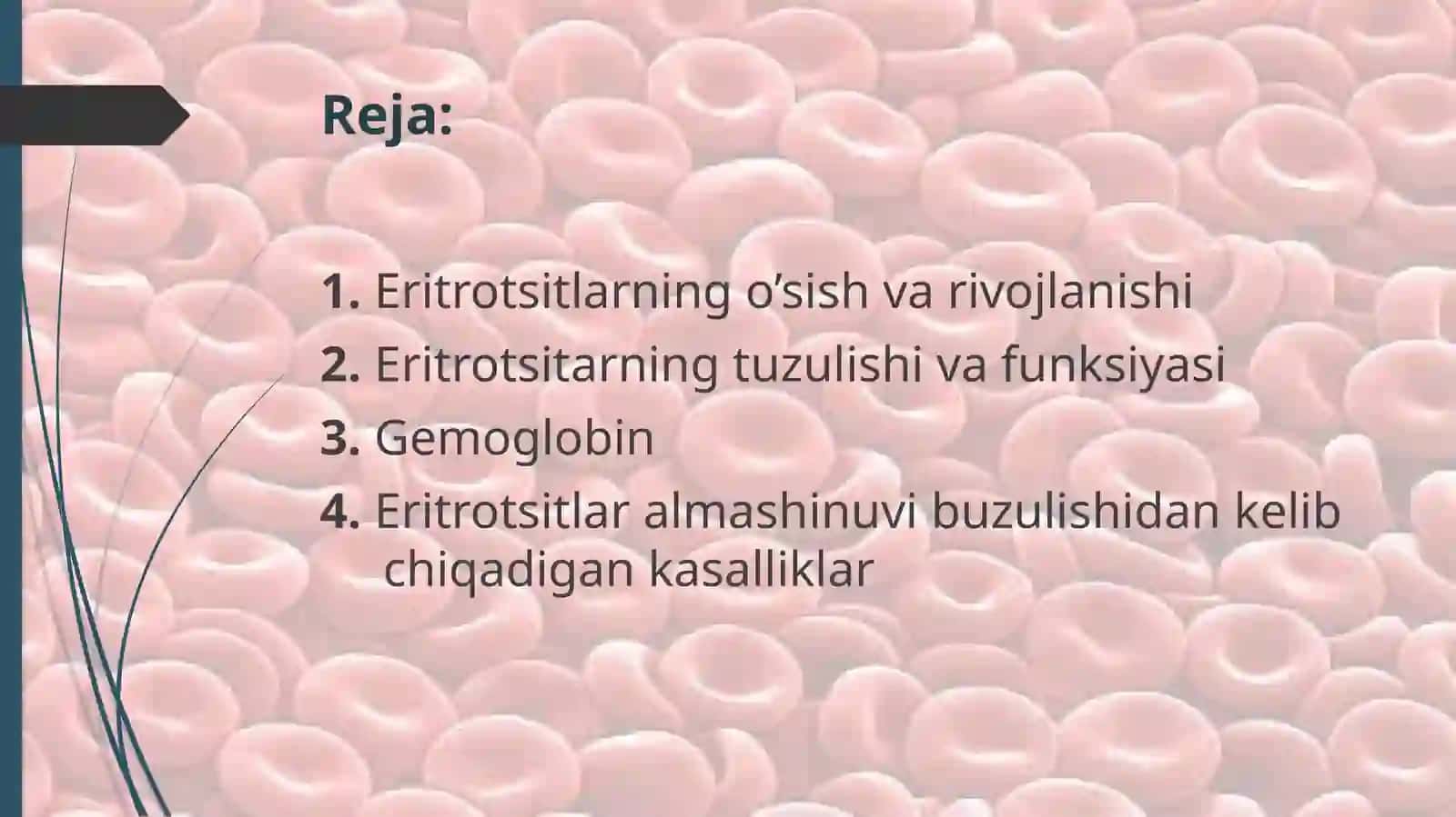 Eritrotsitlarbiokimyosi 2