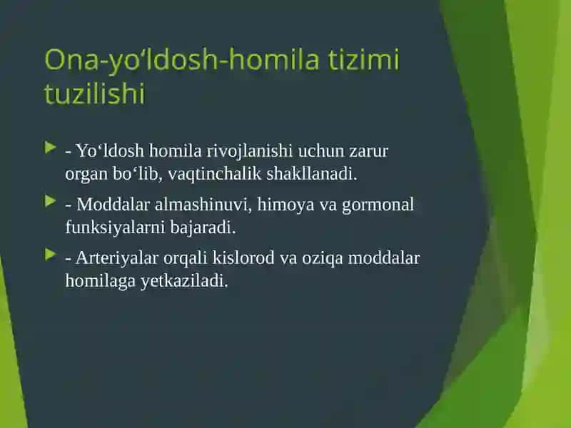 Ona-qornida qon aylanish tizimi 2