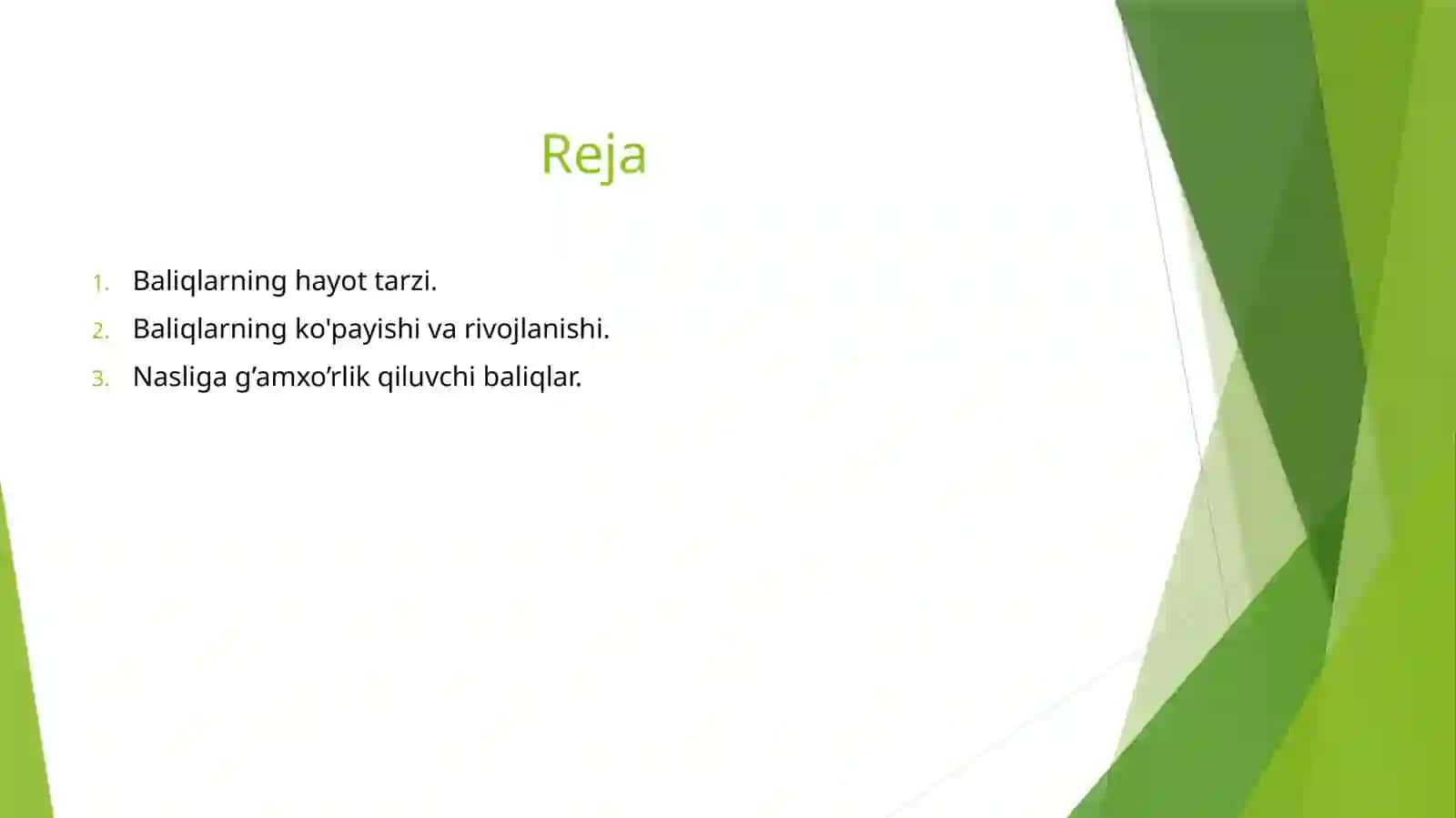Baliqlarning nasl to'g‘risida g’amxo’rligi 2