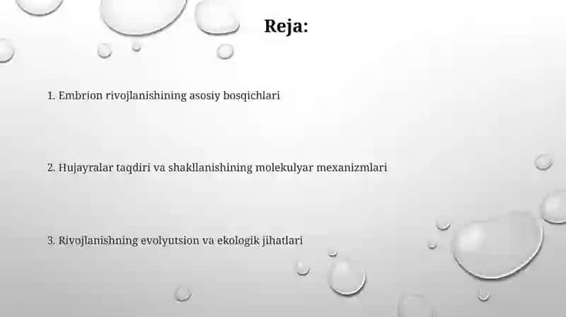 Embrional rivojlanish umumiy qonuniyatlari 2