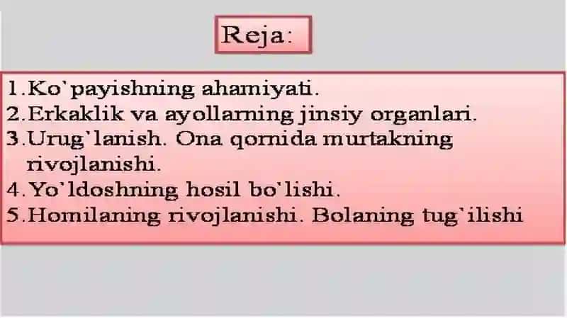 8-sinf 2