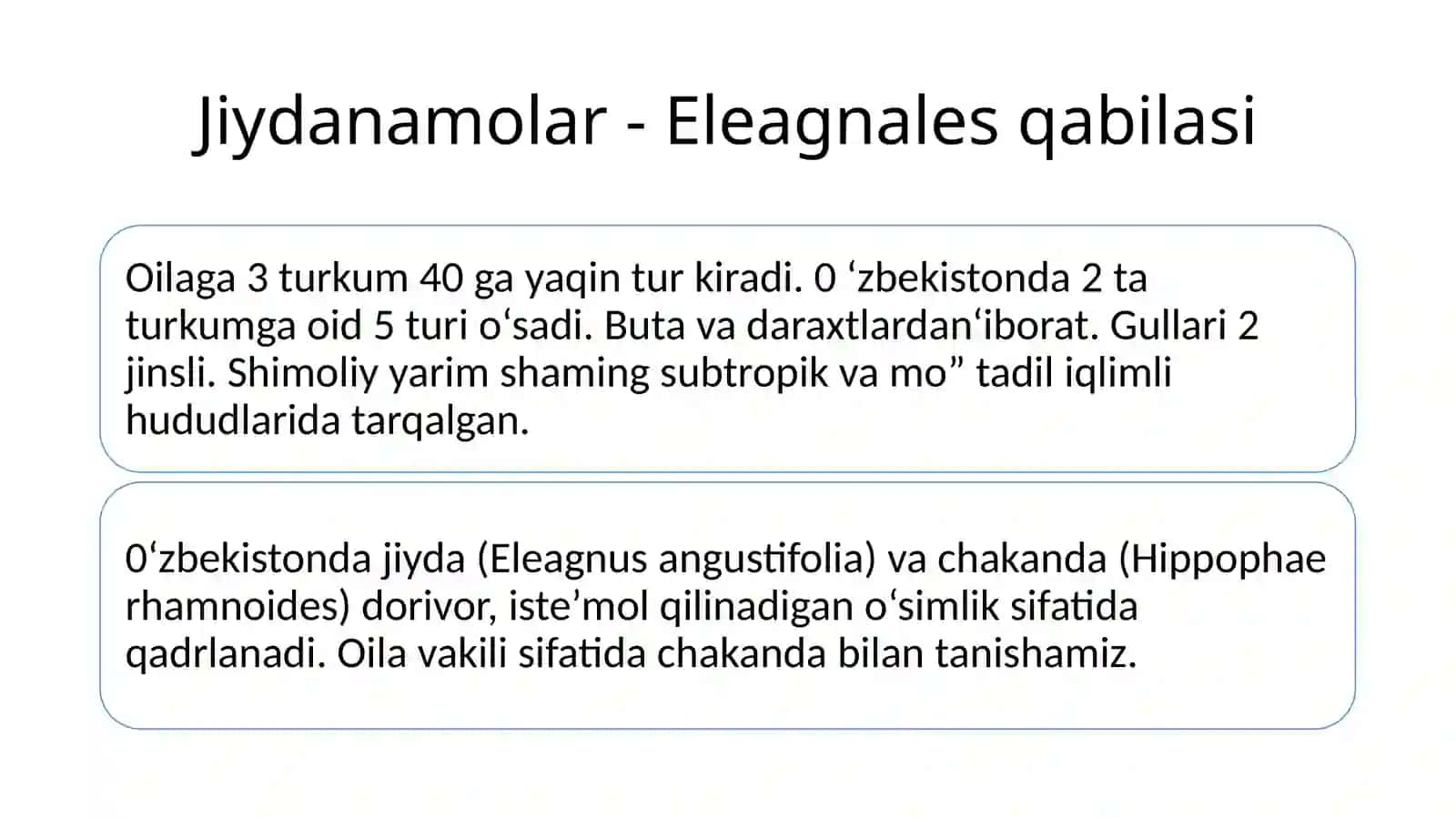 JIYDANAMOLAR 2