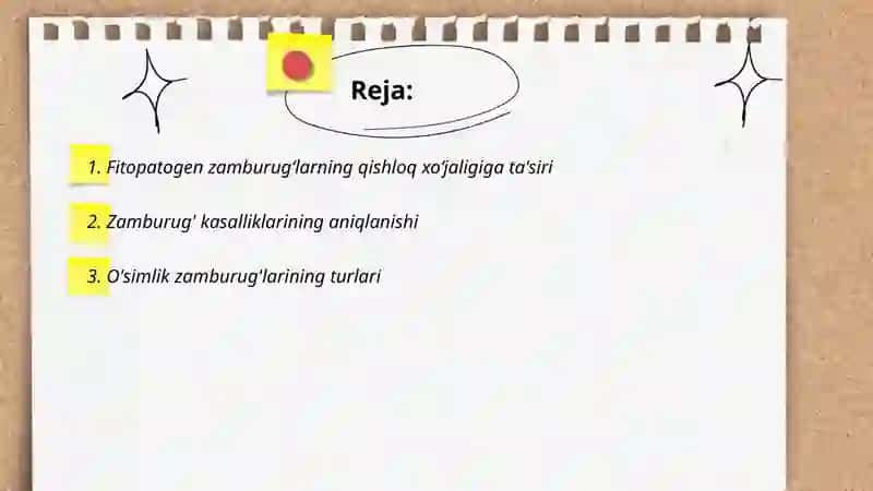 Qishloq xoʻjaligiga zarar keltiradigan fitopatogen zamburugʻlar va ularga qarshi kurash chora tadbirlar 2