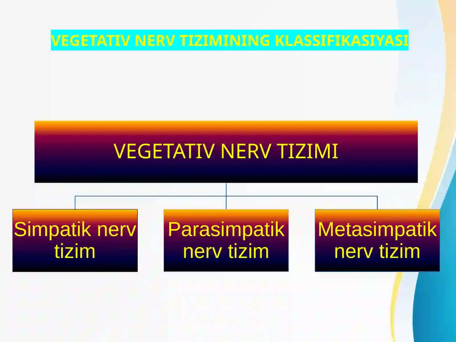 VEGETATIV NERV TIZIMINING KLASSIFIKASIYASI 2