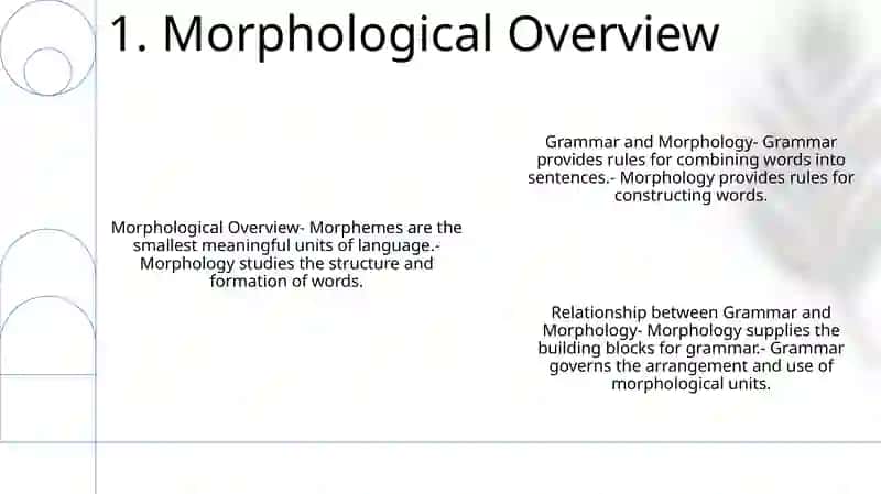 Grammar And Morphology 2