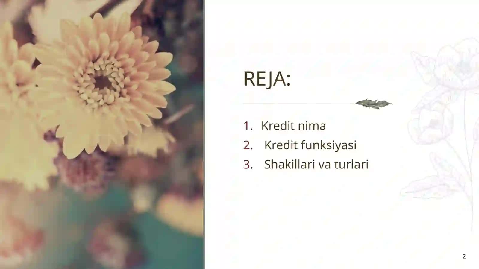 Kredit,uningehtiyojlarifunksiyasishakllarivaturlari 2