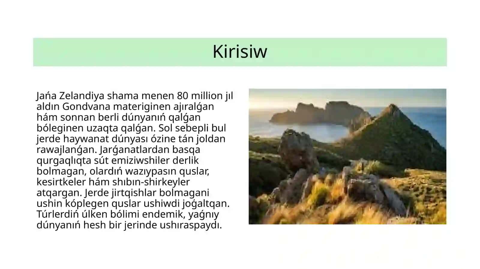 Jańa Zelandiya faunası 2