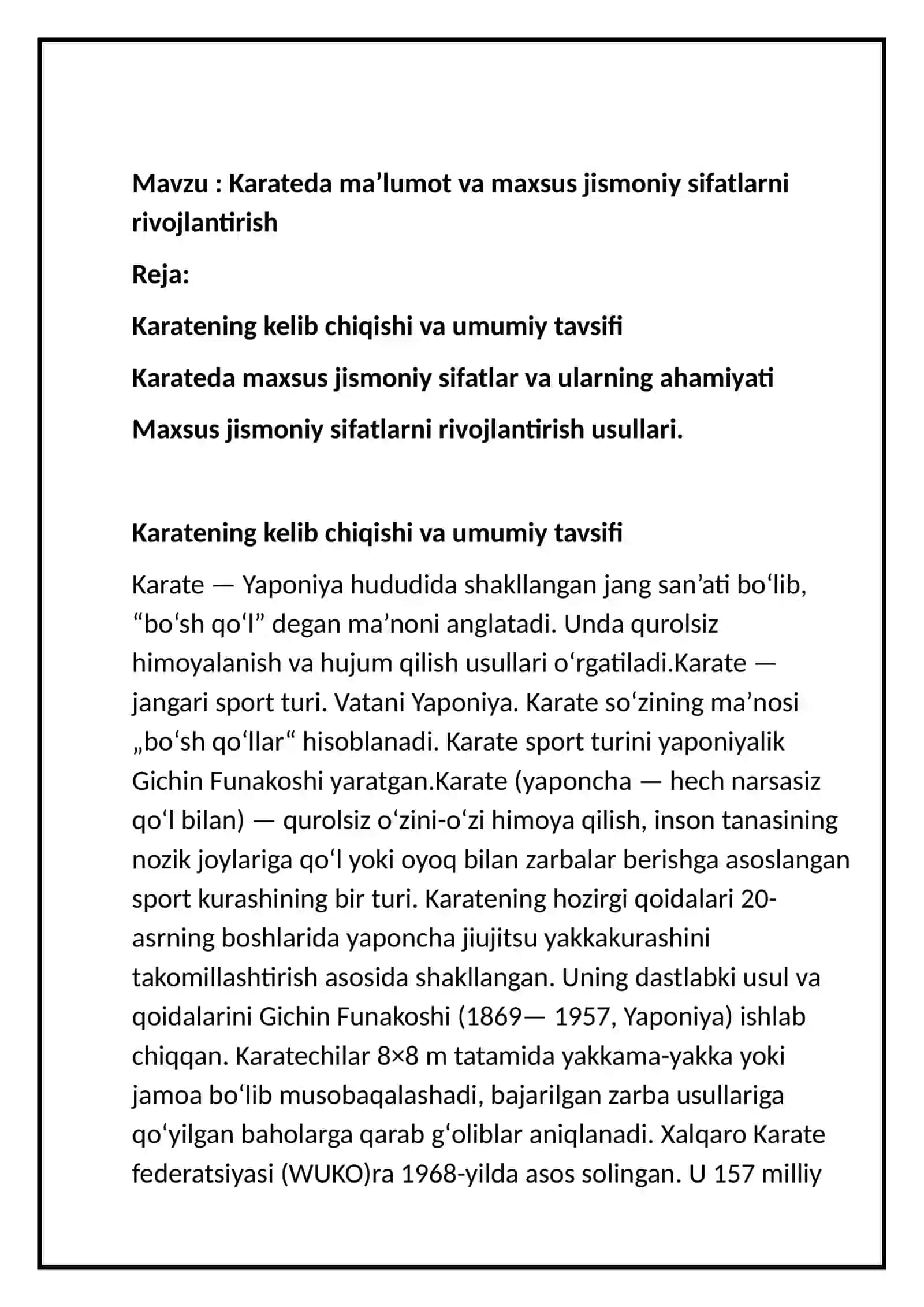Karate Referat 2
