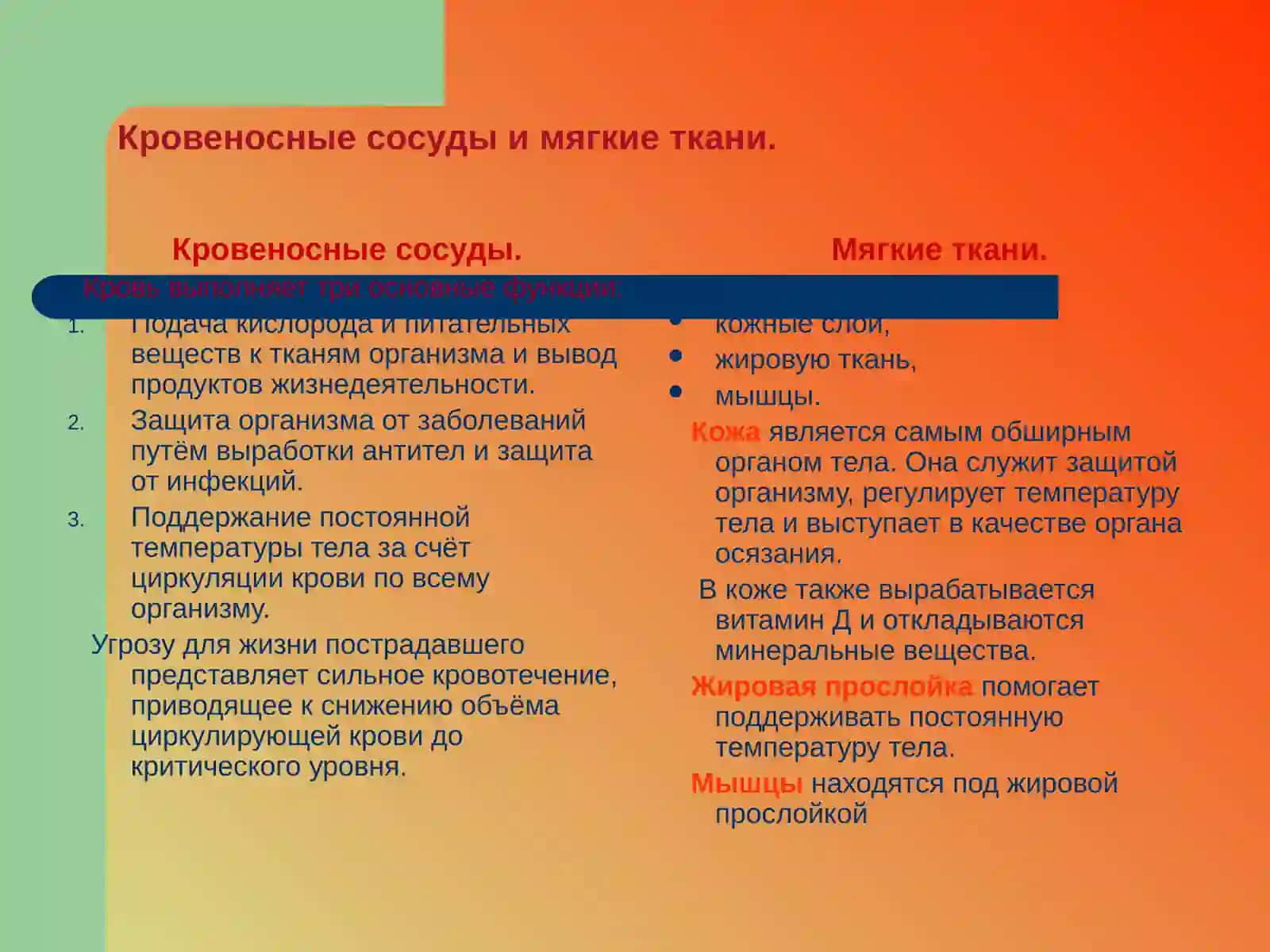 Кровотечение в травматологии 2