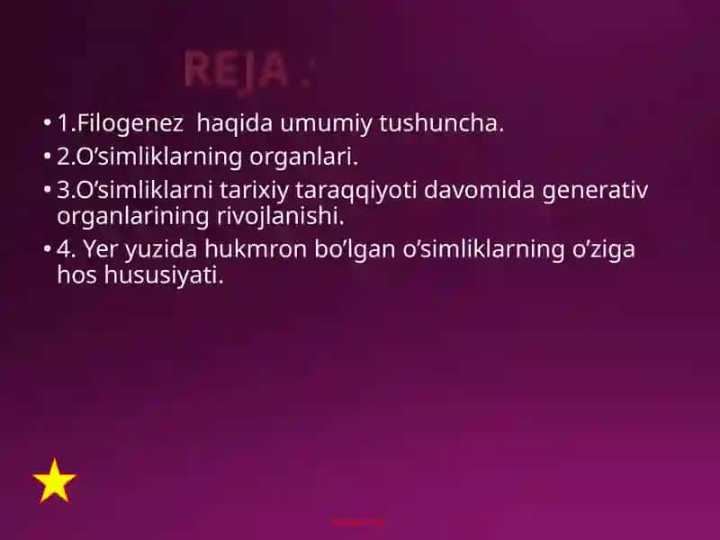 O’simliklar generativ organlari filogenezi 2