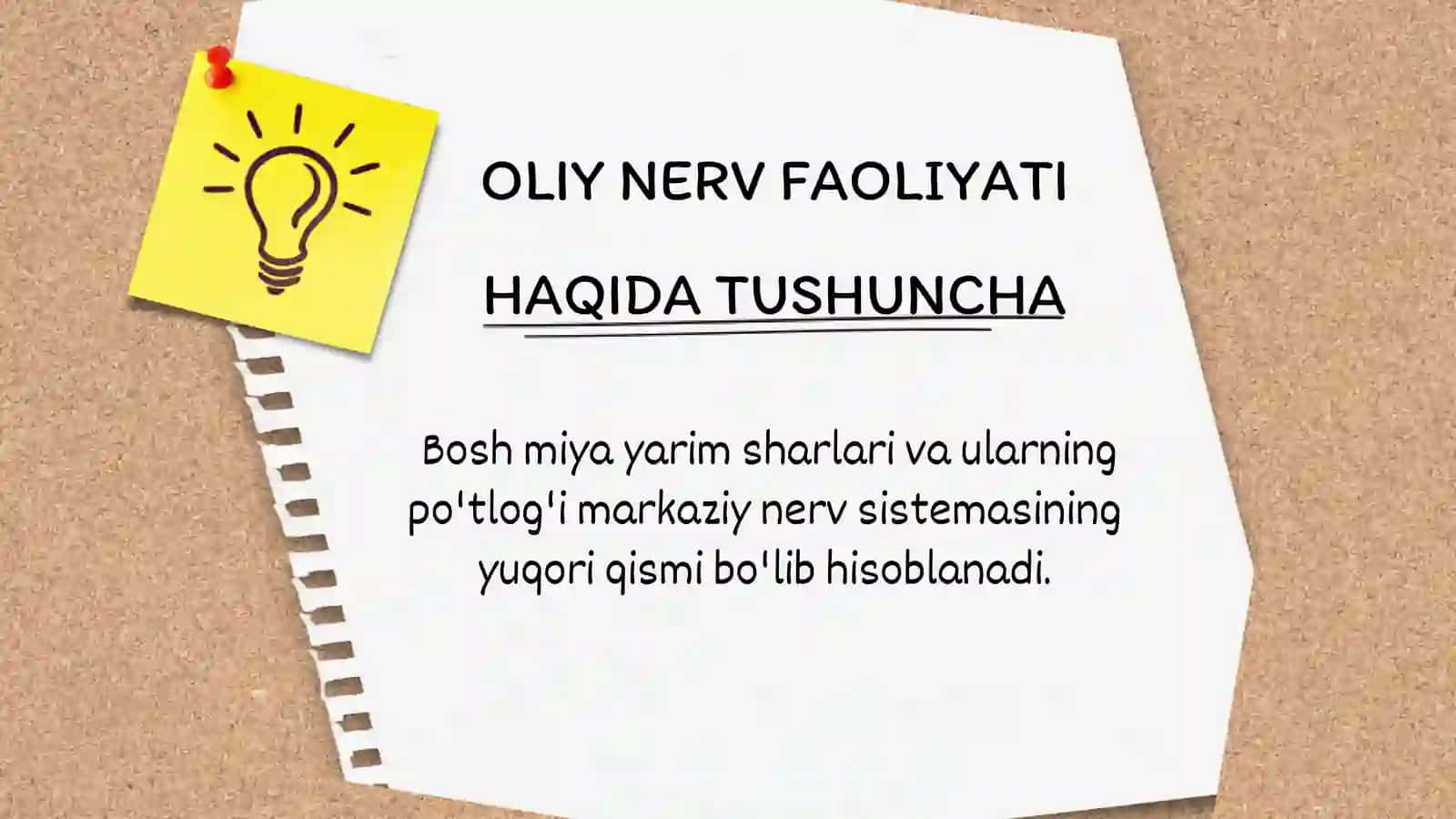 OLIY NERV FAOLIYATI 2