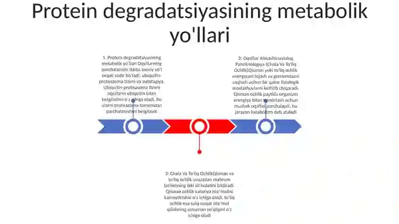 Oqsillar Almashinuvining Patofiziologiya (Chala Va To'Liq Ochlik) 2