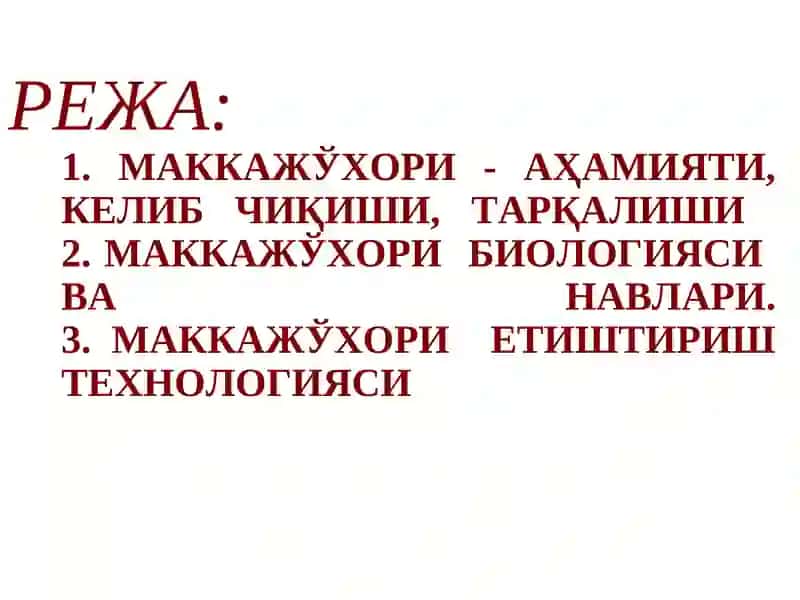Маккажўхори биологияси ва етиштириш технологияси 2