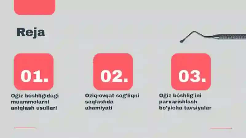 Og’izbóshlig’inipraflakttekshirishusullari 2