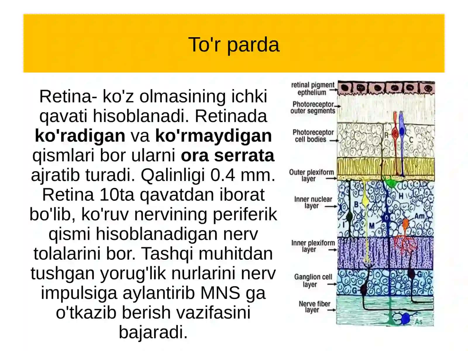 To'rpardako'chishi-davolashning yangi innovatsion usullari 2
